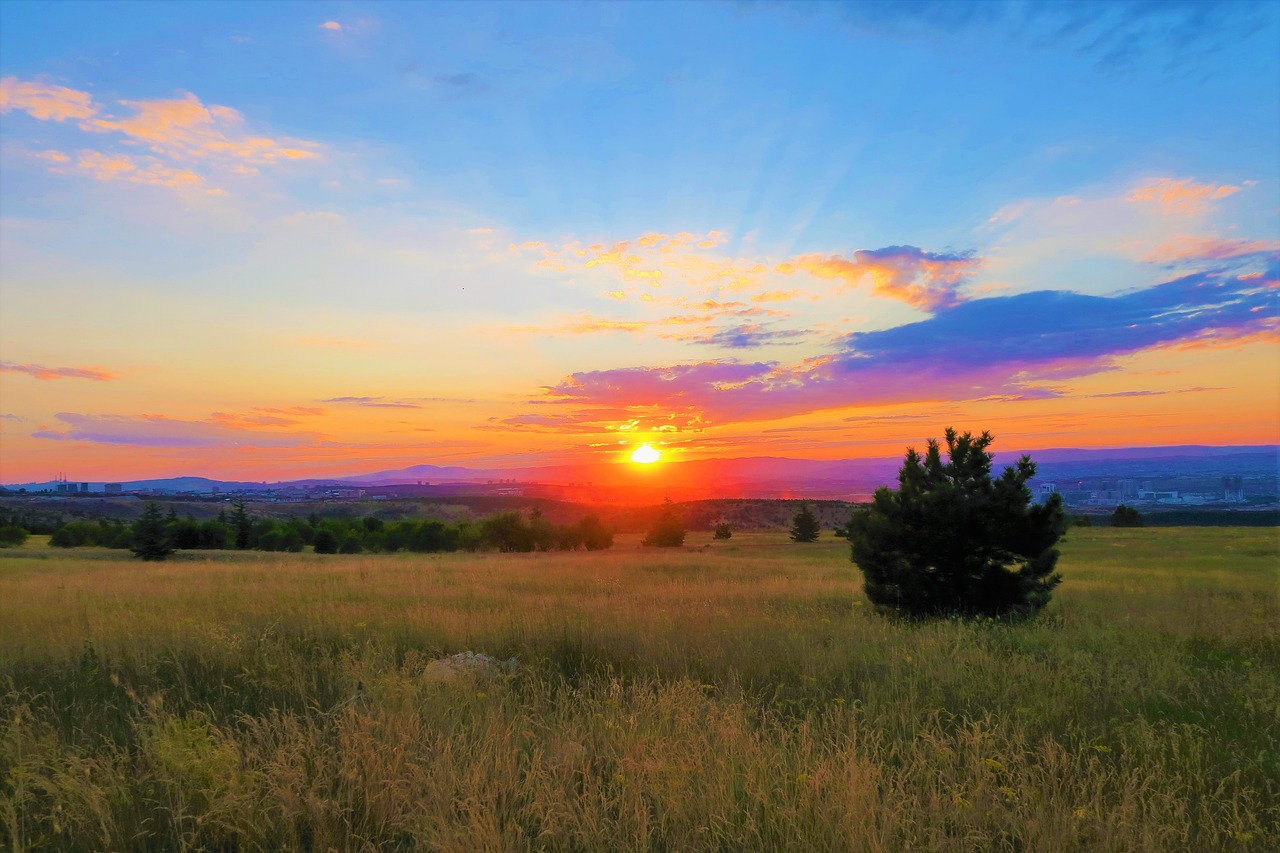 sunset  nature  horizon free photo