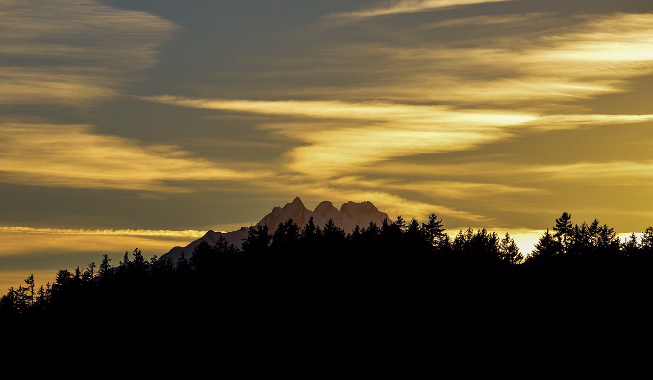 sunset  mountains  forest free photo