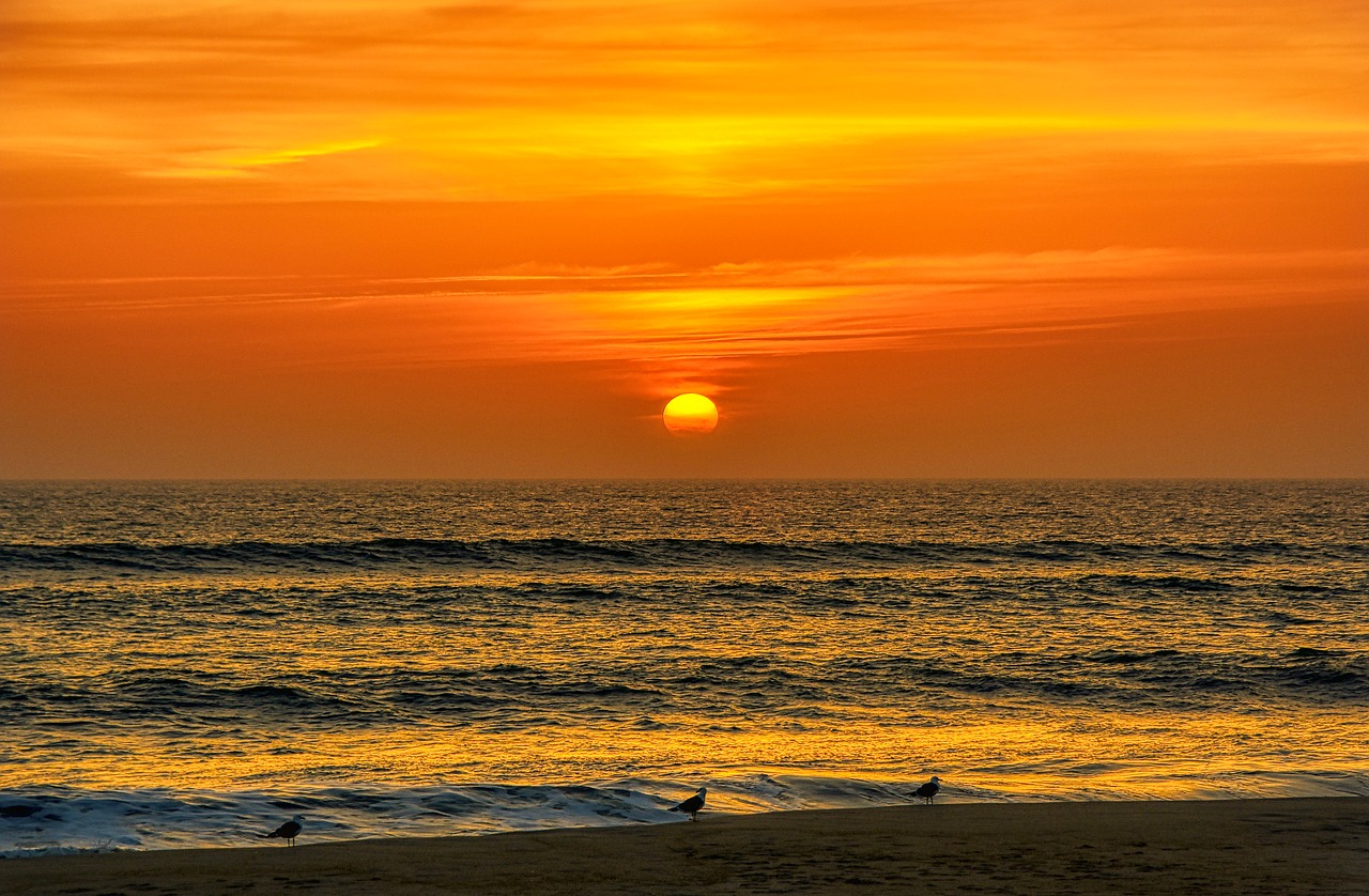 sunset  beach  sea free photo