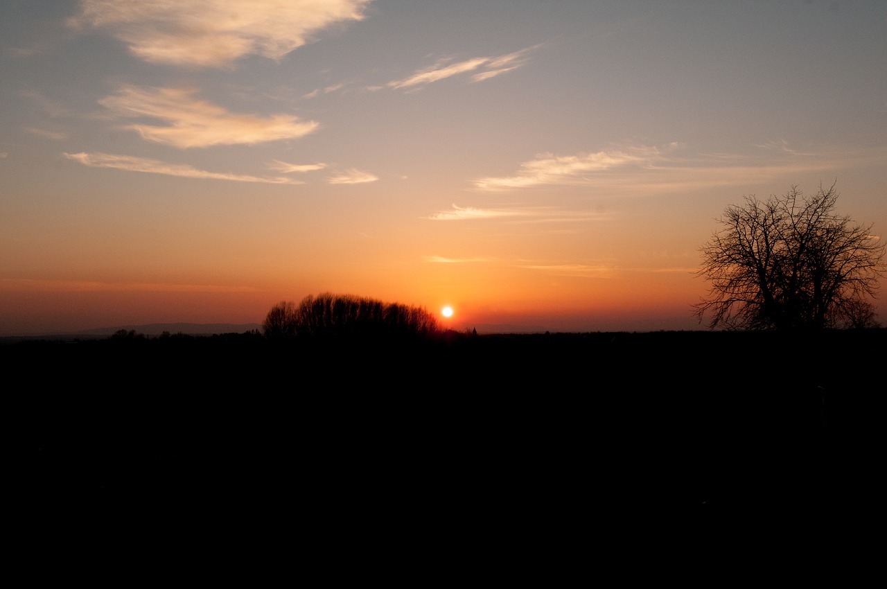 sunset  twilight  evening free photo