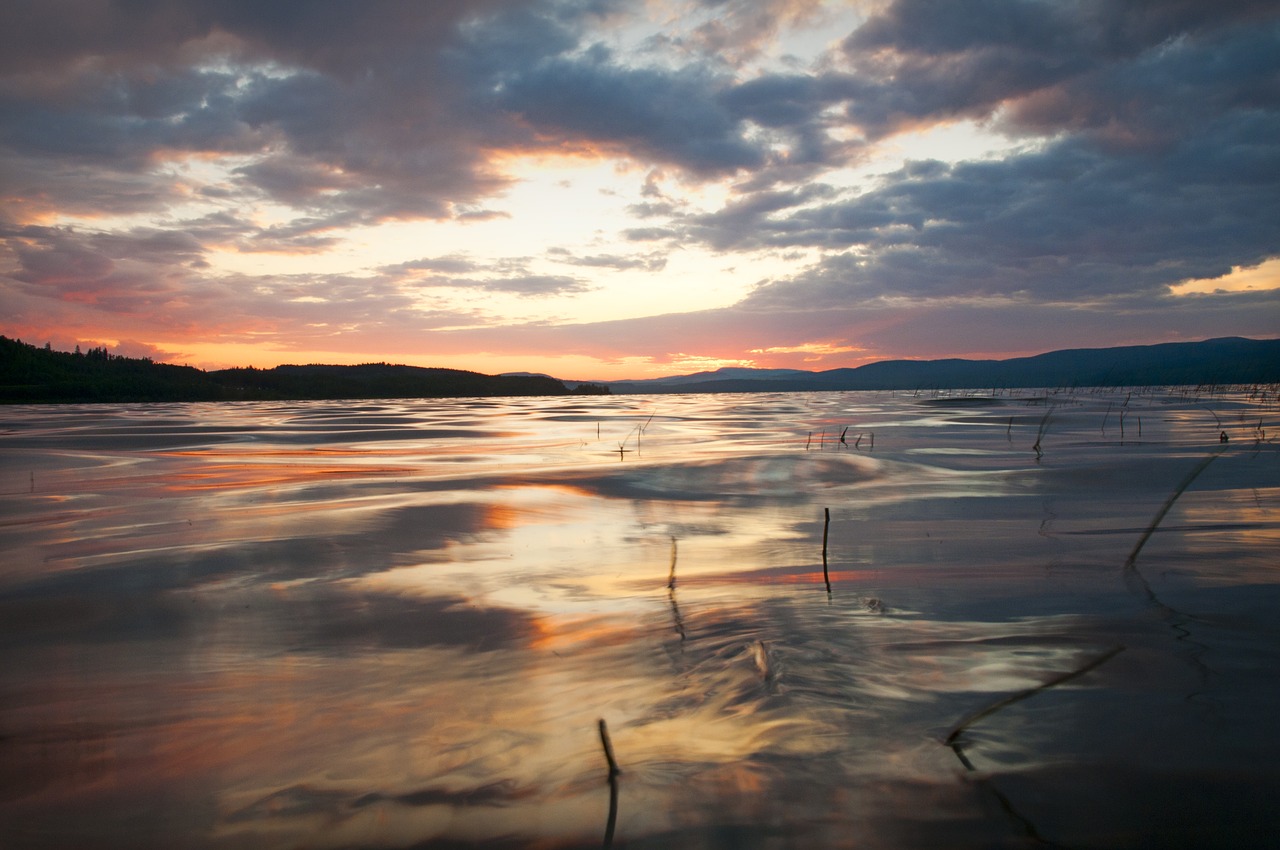 sunset  lake  beaumont provincial park free photo