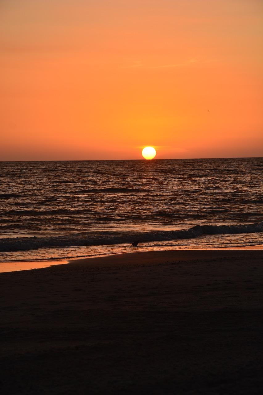 sunset  beach  florida free photo
