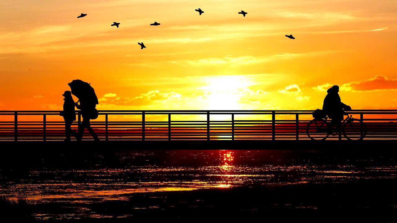 sunset  bridge  people free photo