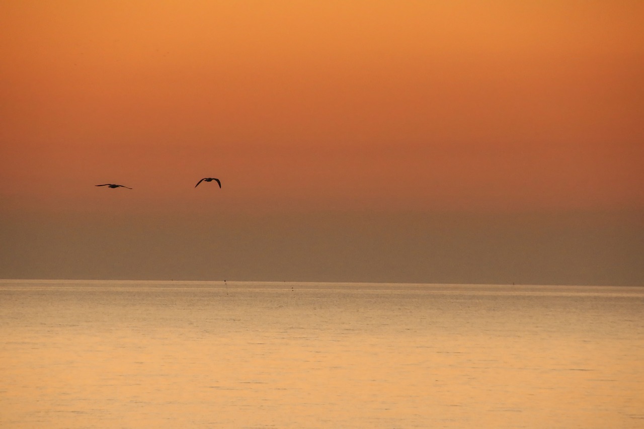 sunset  ocean  orange free photo