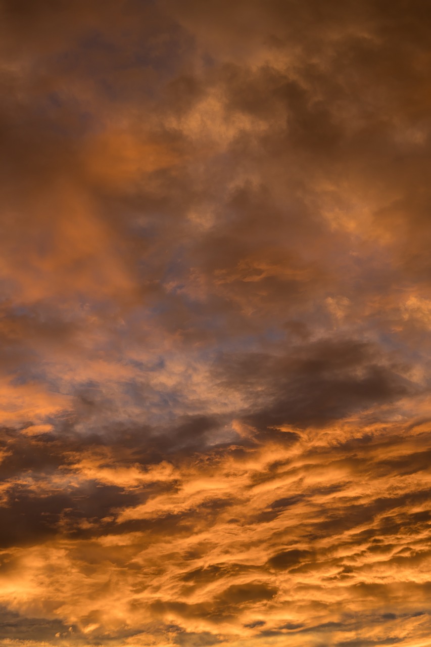 sunset  sky  clouds free photo