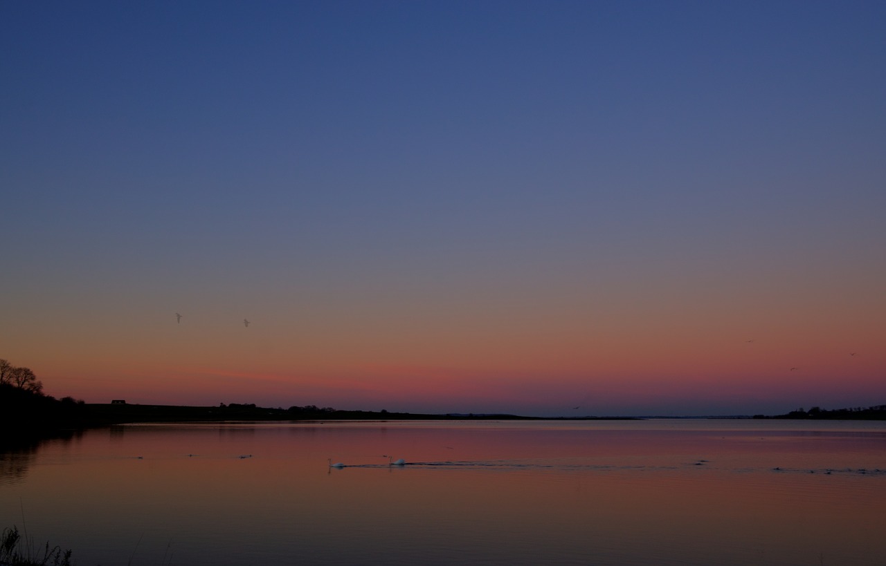 sunset  sea  sky free photo