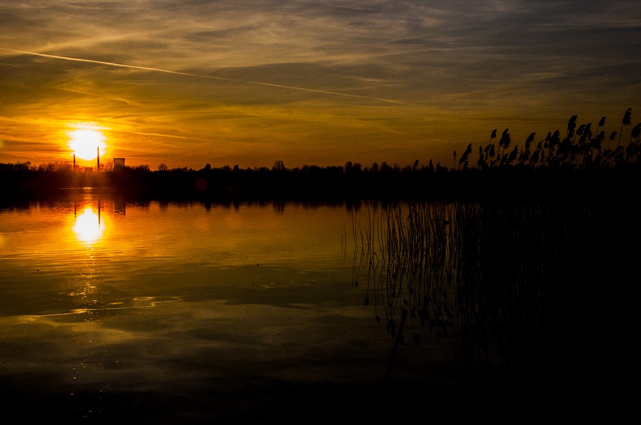 sunset  lake  pogoria free photo