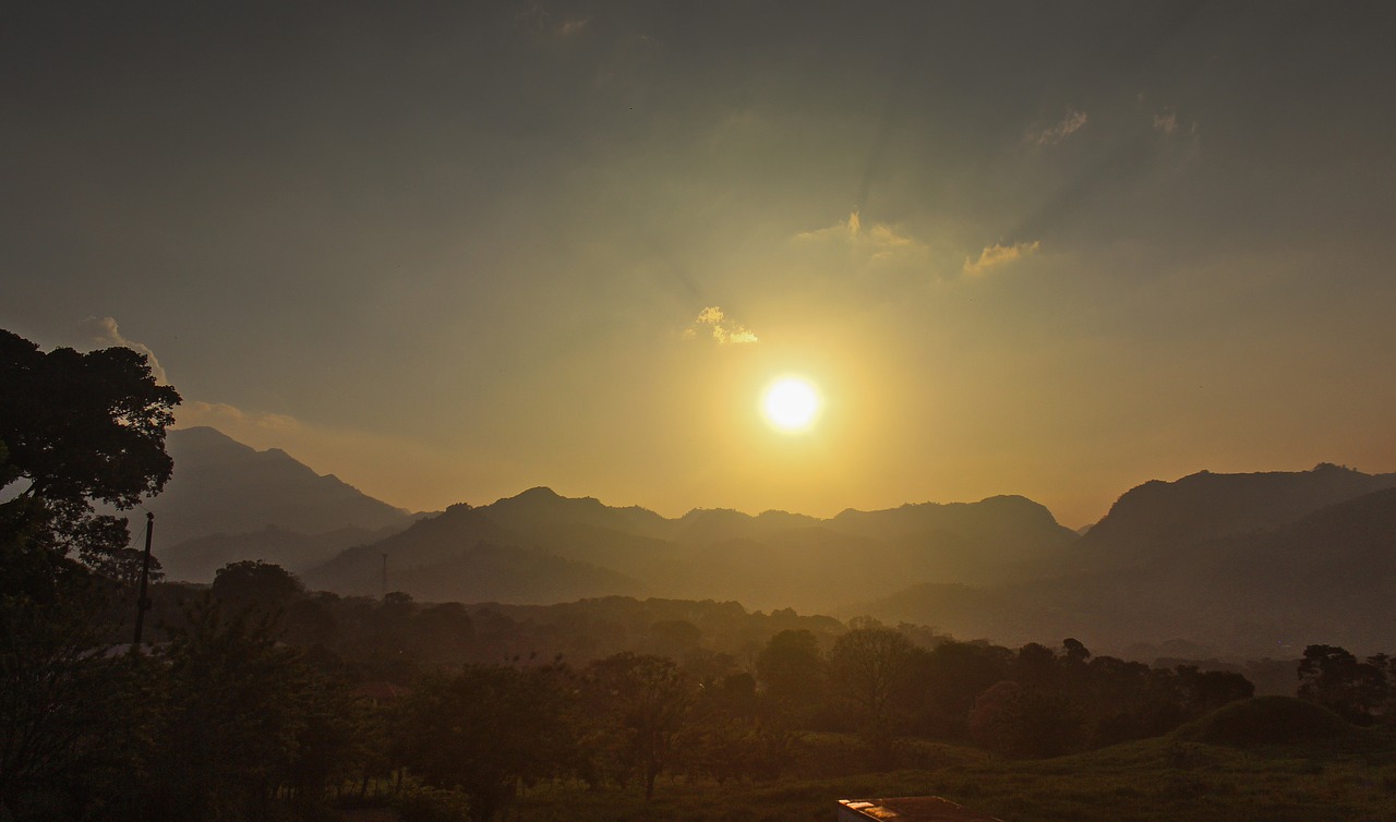 sunset  summer  afternoon free photo