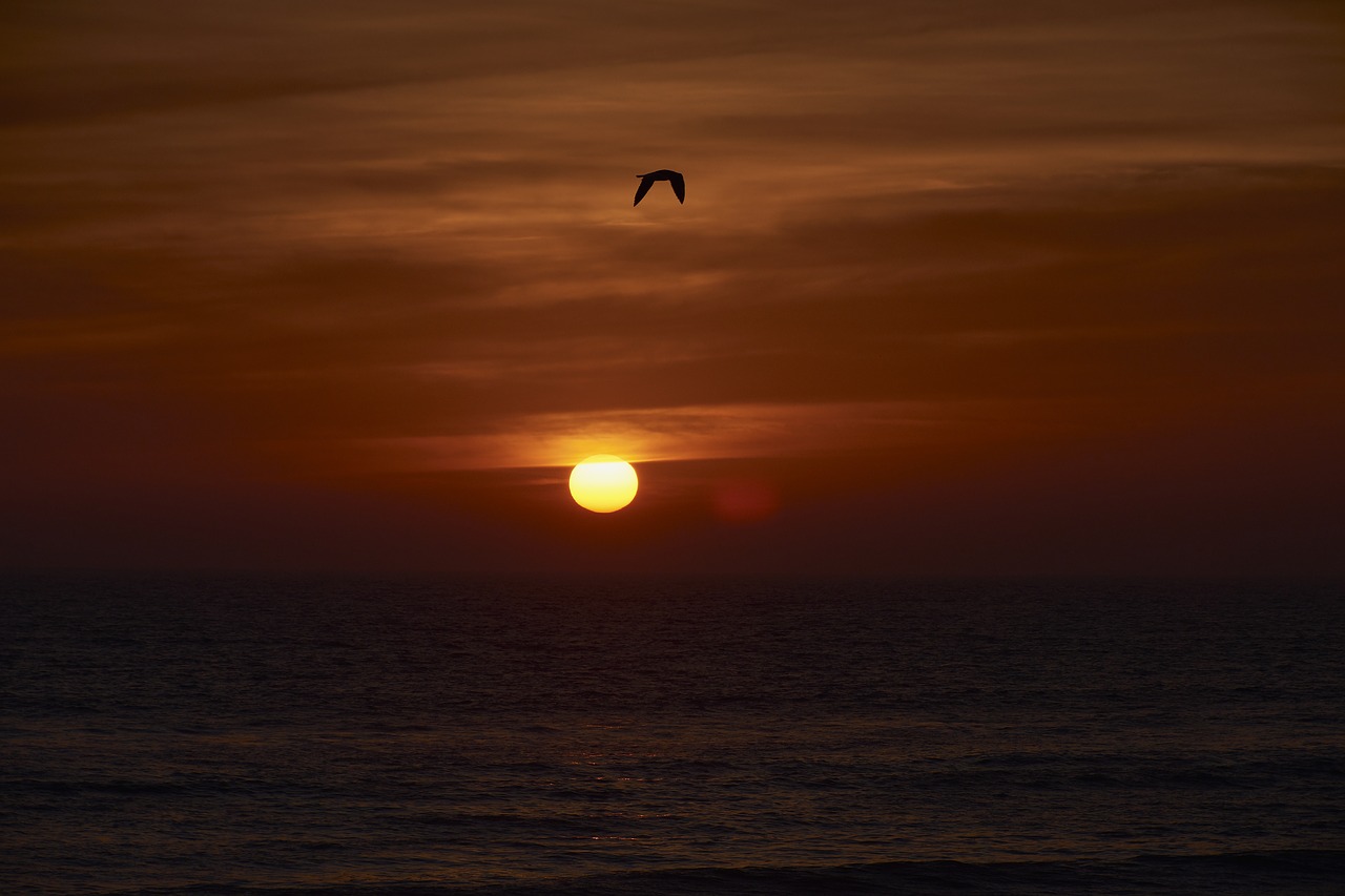 sunset  landscape  horizon free photo