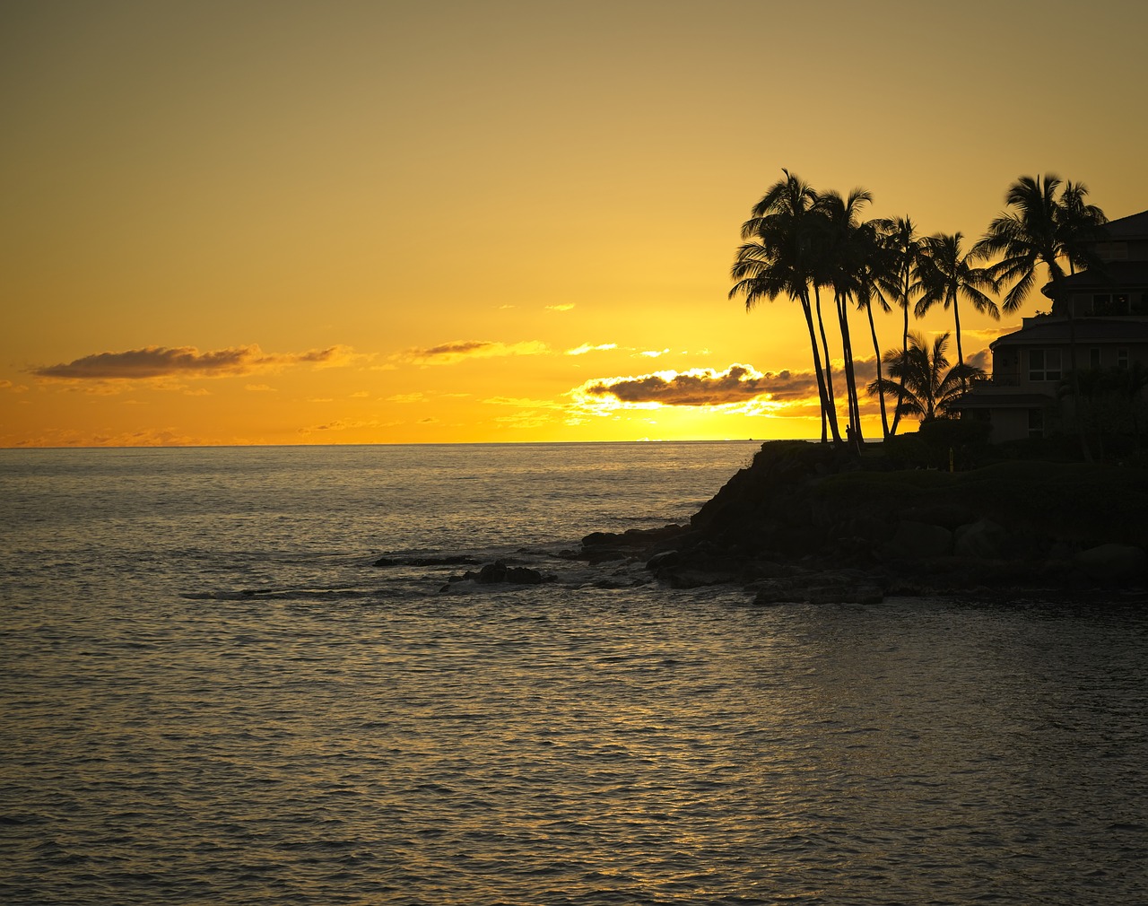 sunset  orange  ocean free photo