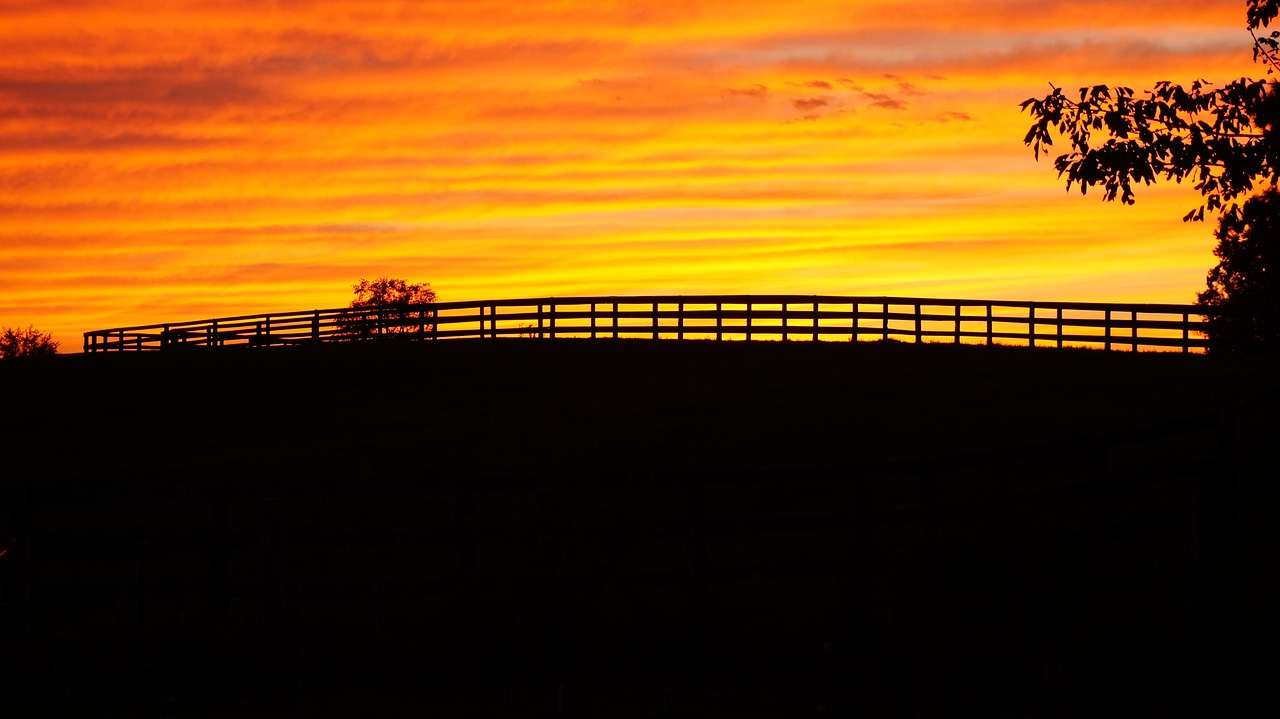 sunset  fence  rural free photo