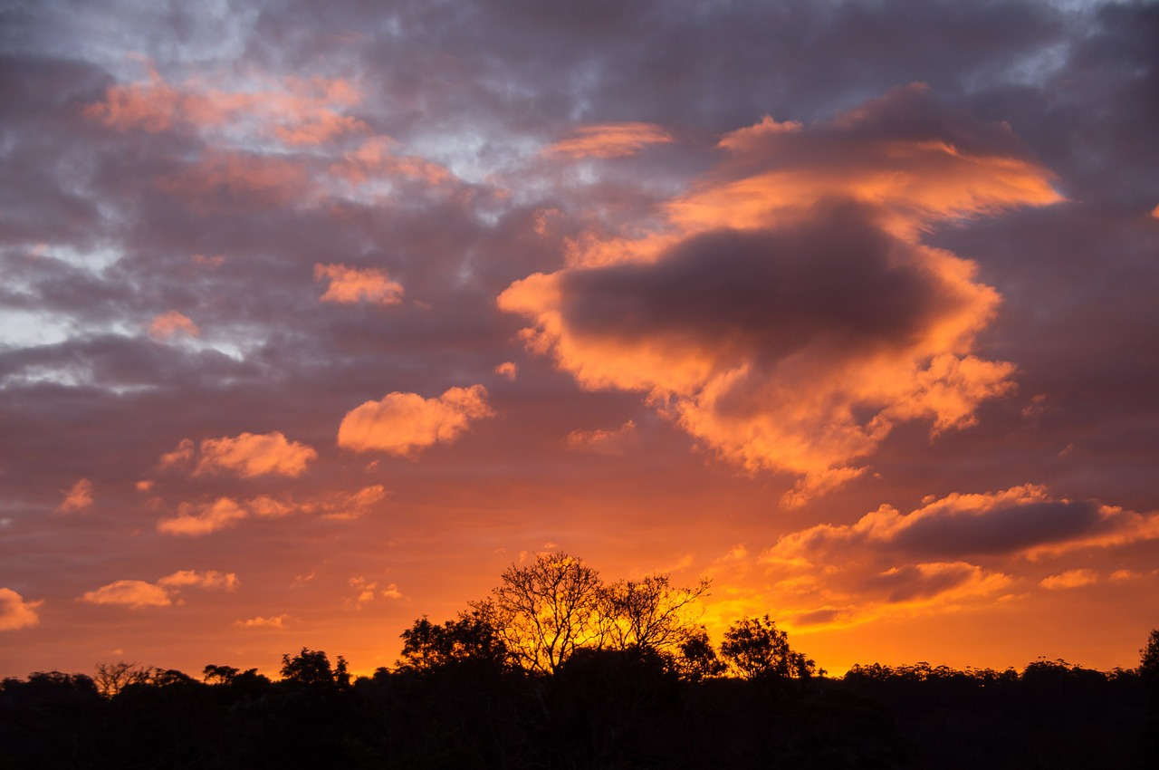 sunset sky pink free photo