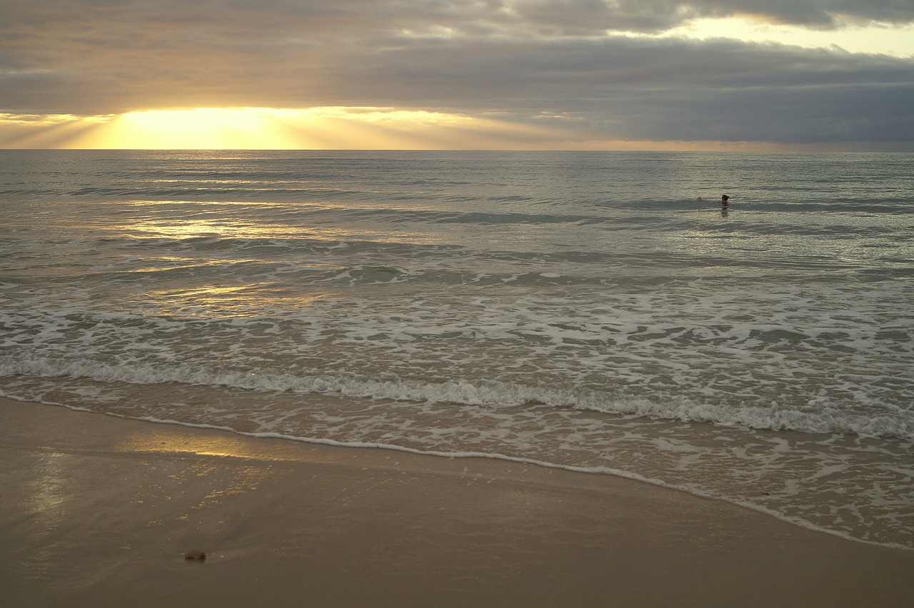 sunset  beach  sunbathing free photo