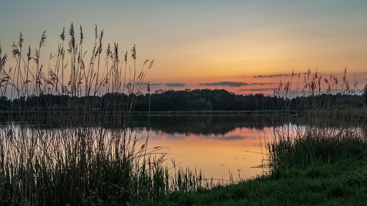 sunset  lake  landscape free photo