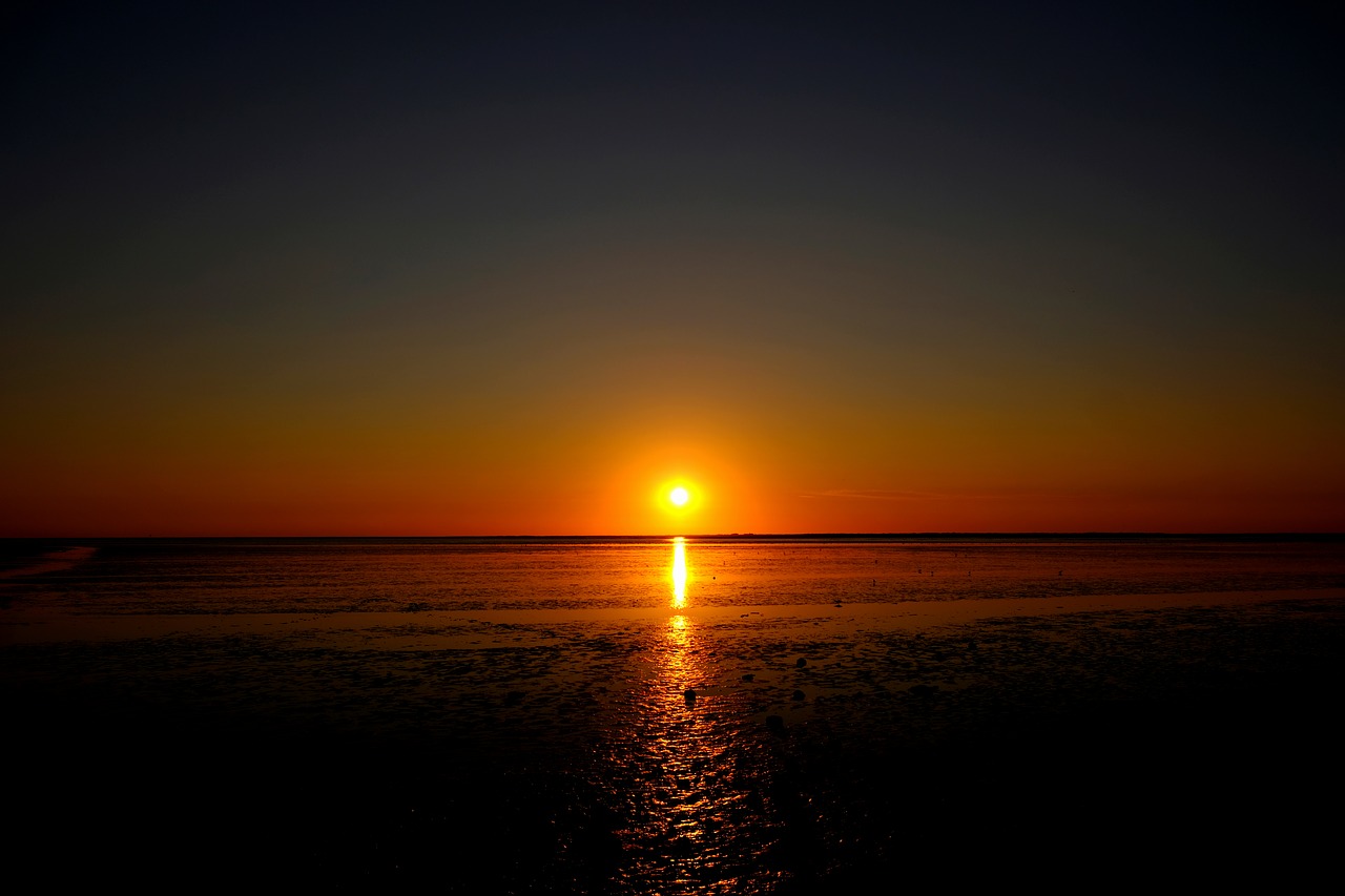 sunset  sun  sea free photo