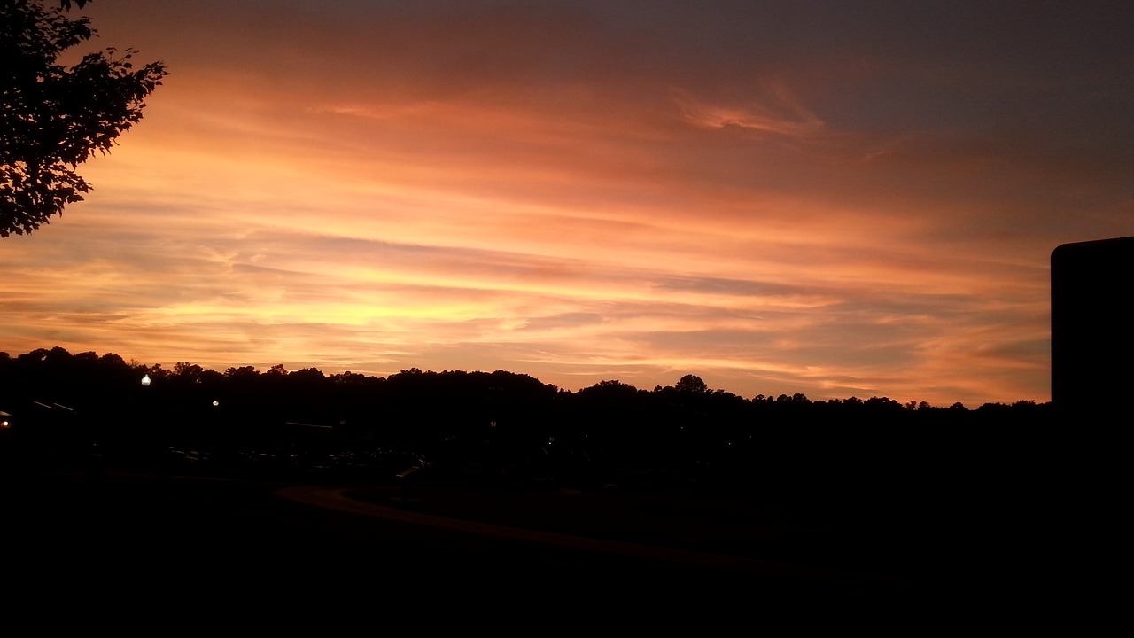 sunset  sky  trees free photo