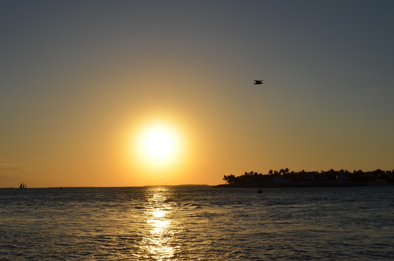 sunset  beach  horizon free photo