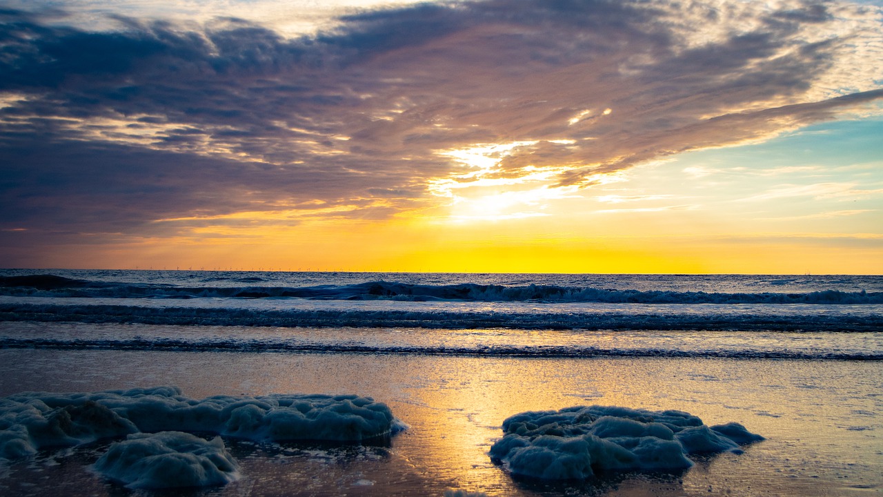 sunset  sea  beach free photo