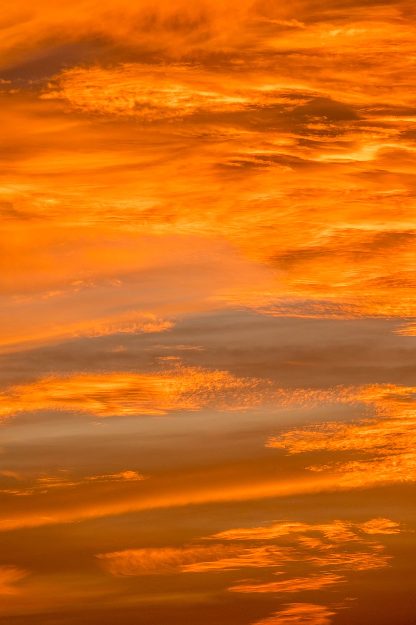 sunset  red  orange free photo