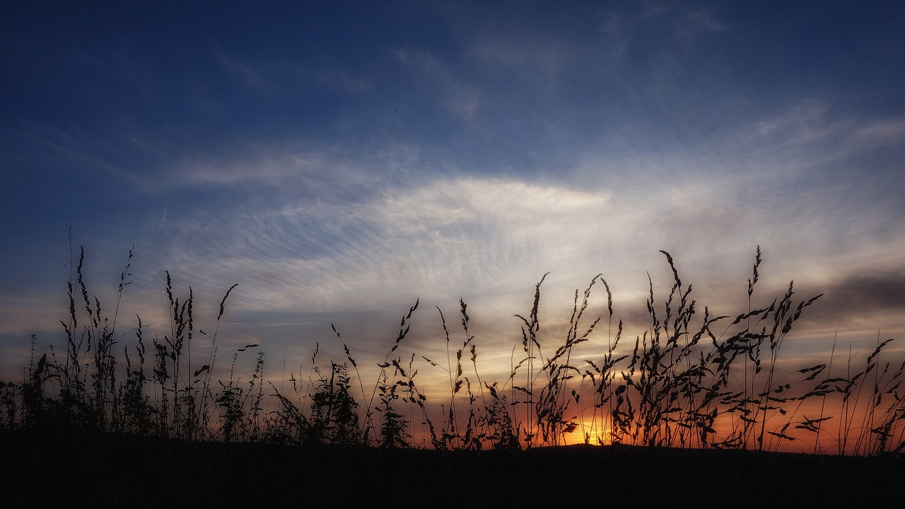 sunset  abendstimmung  landscape free photo