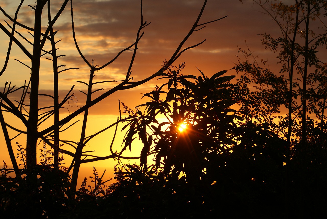 sunset evening reunion island free photo