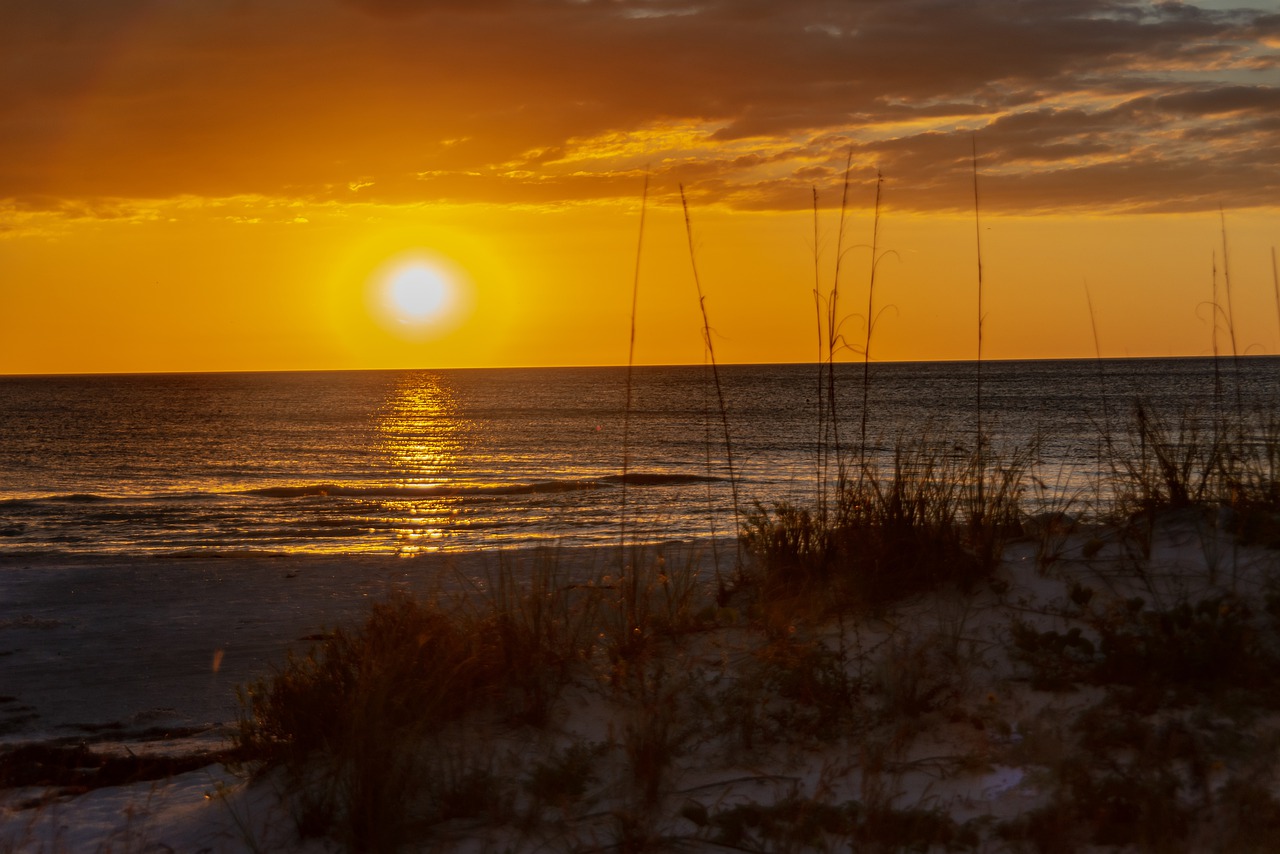 sunset  beach  sea free photo