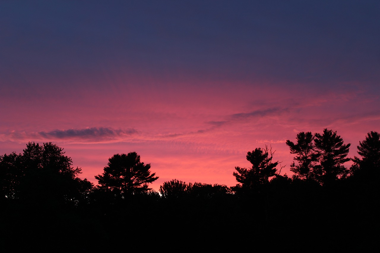 sunset  pink  yellow free photo