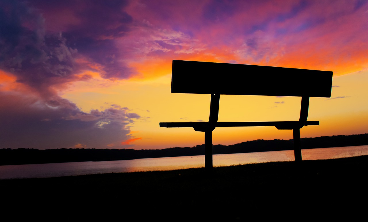 sunset  relax  bench free photo