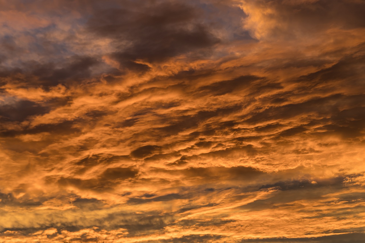 sunset  sky  clouds free photo