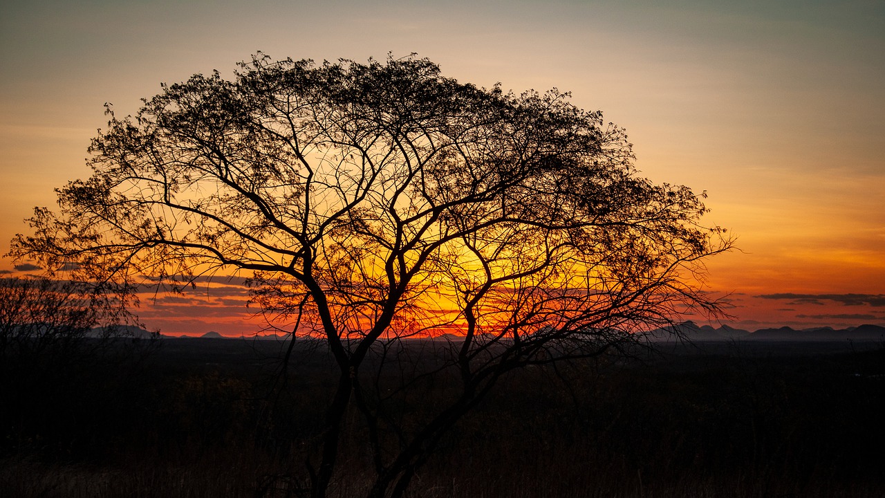 sunset  sky  twilight free photo