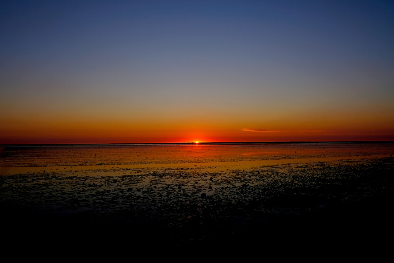 sunset  evening  abendstimmung free photo