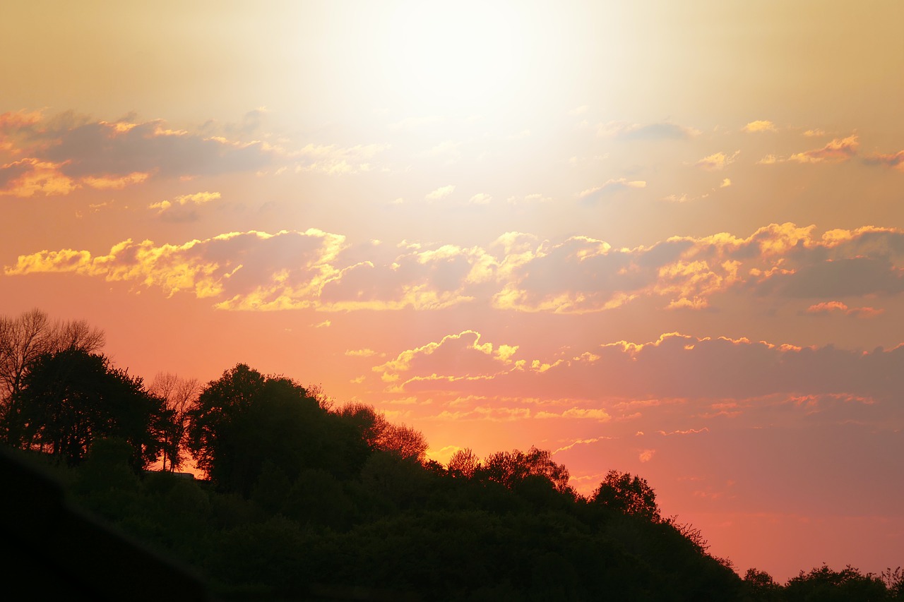 sunset  red  trees free photo