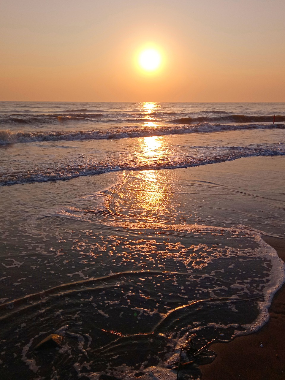 sunset  sun  beach free photo