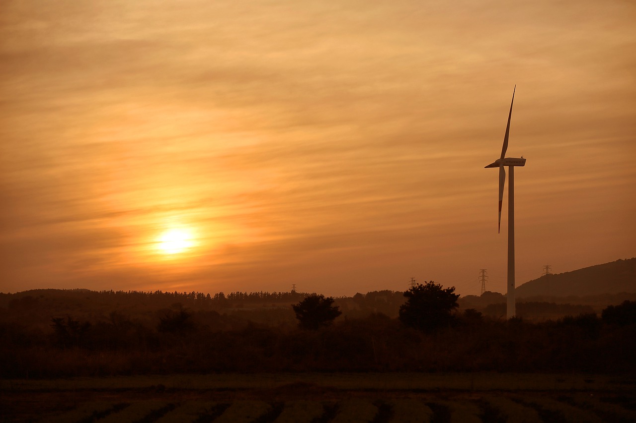 sunset  landscape  wind power free photo