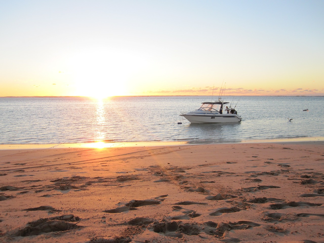 sunset sea boat free photo