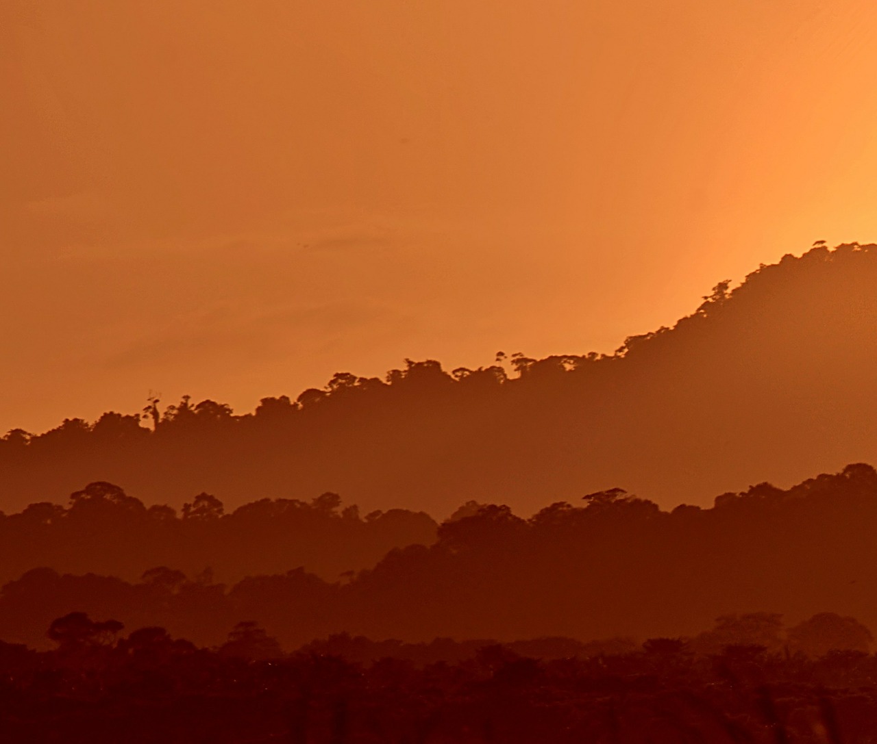 sunset guyana orange free photo