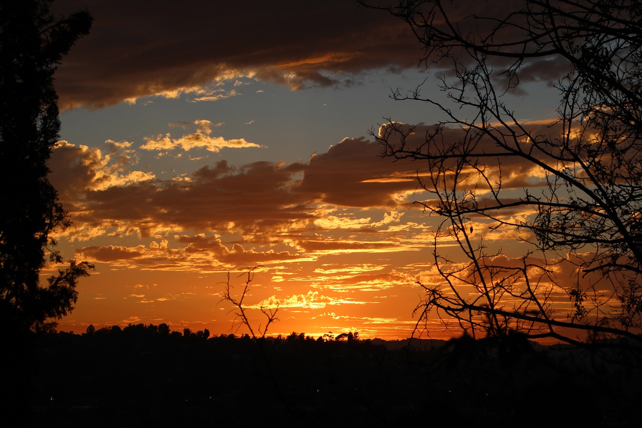 sunset nature orange free photo