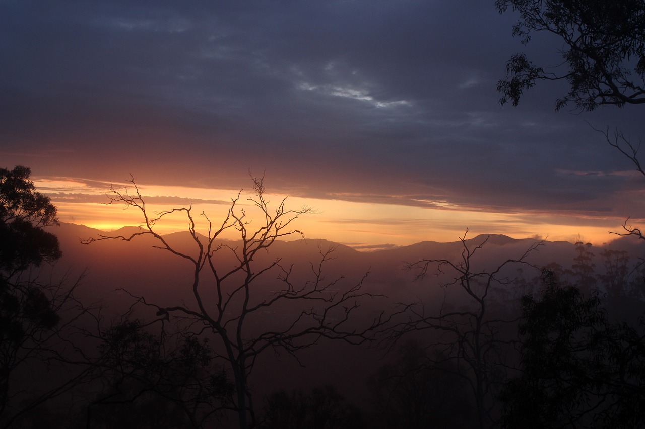 sunset mist evening free photo