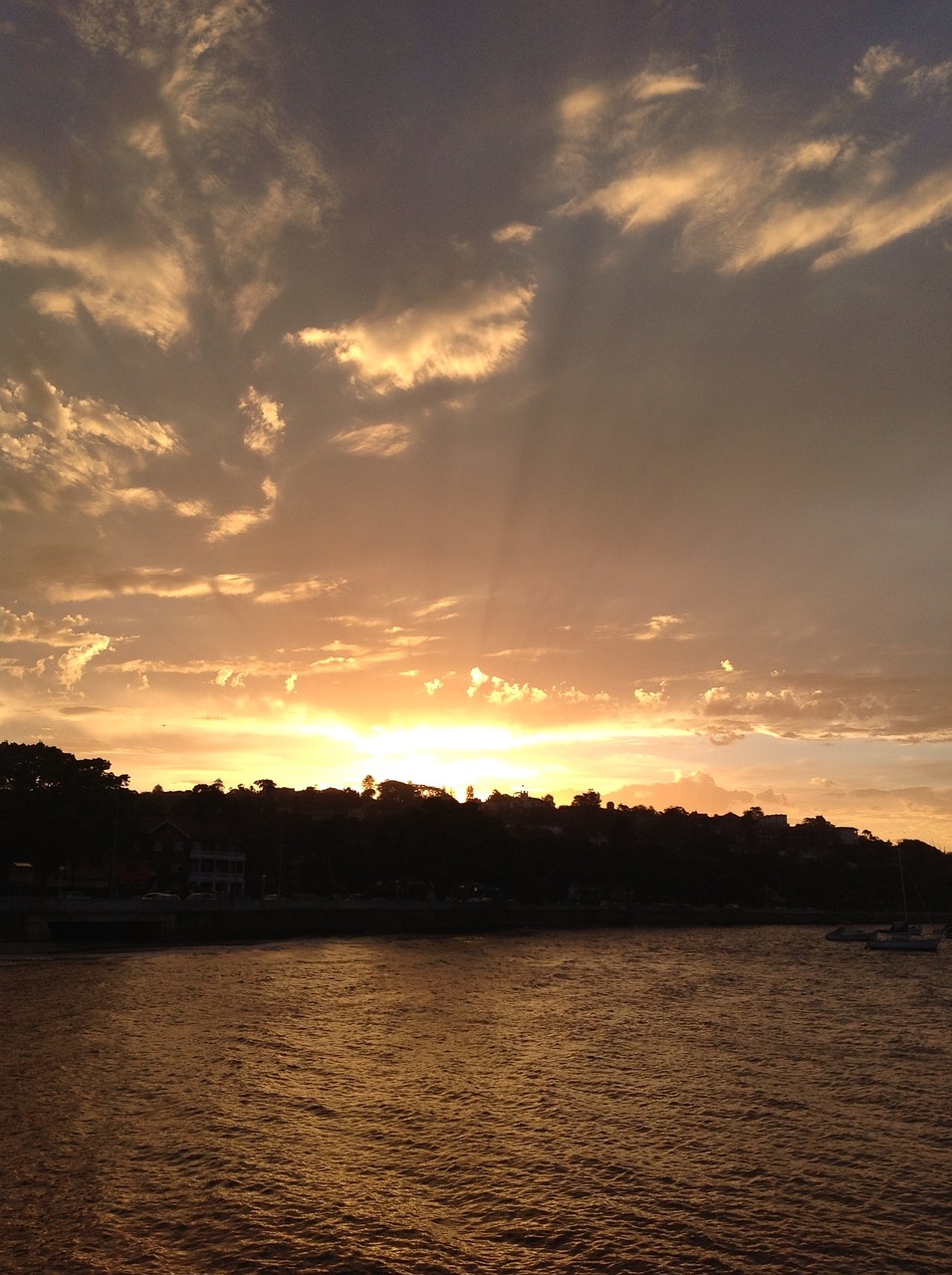 sunset harbour sydney free photo
