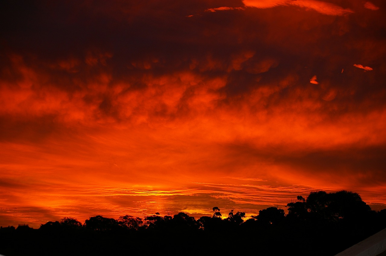 sunset red horizontal free photo