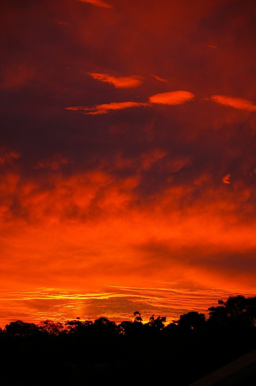 sunset red horizontal free photo