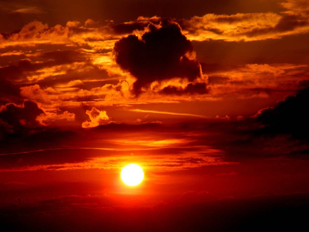 Sunset,sky,sun,cloud,twilight - free image from needpix.com