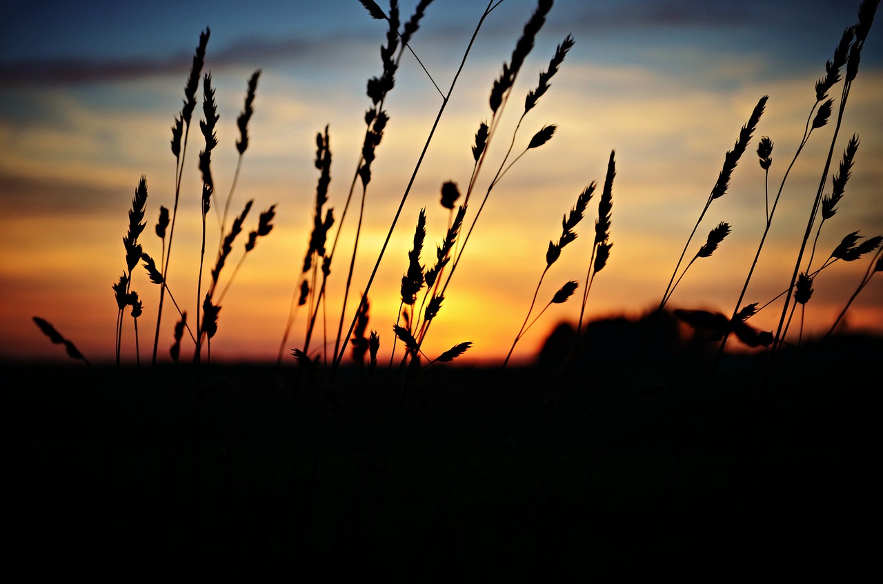 sunset landscape nature free photo