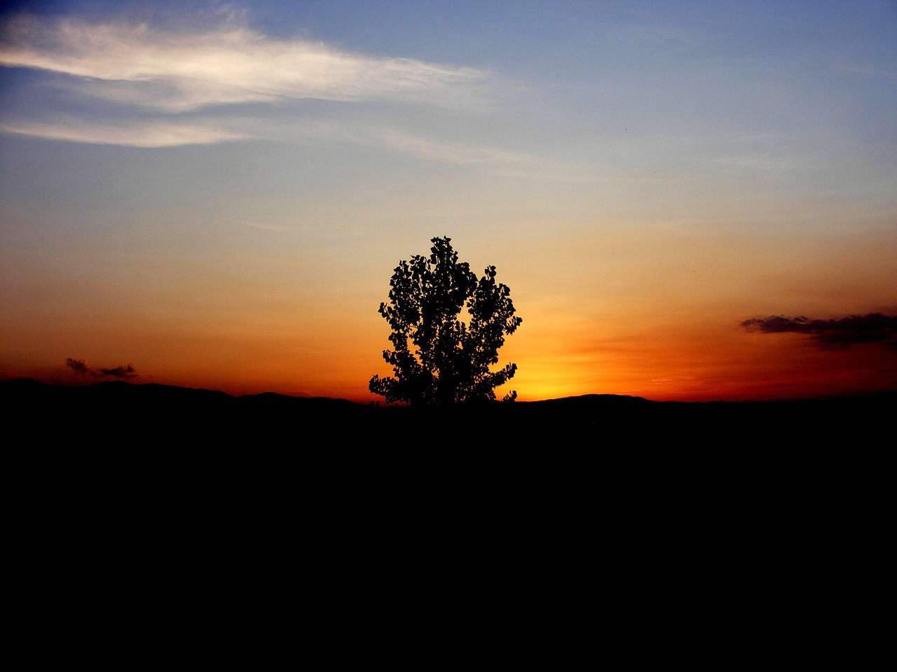 sunset sun tree free photo