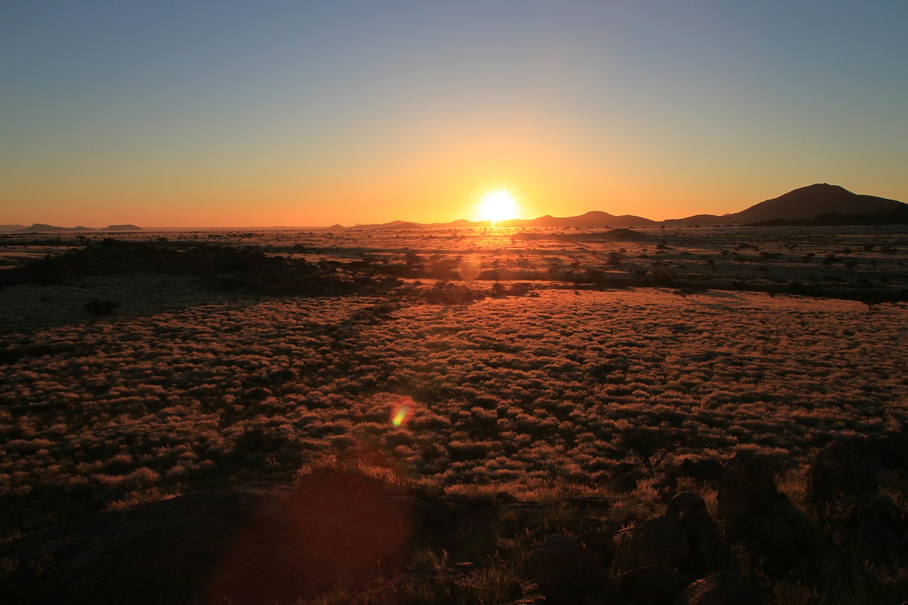 sunset steppe veld free photo