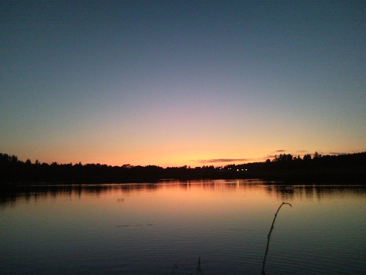 sunset pond summer sunset free photo