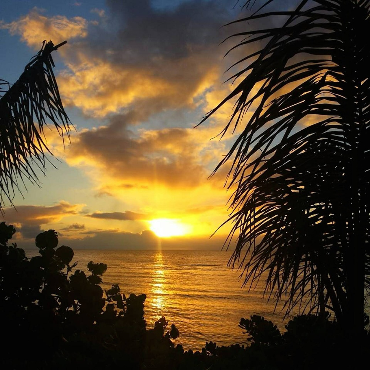 sunset ocean island free photo