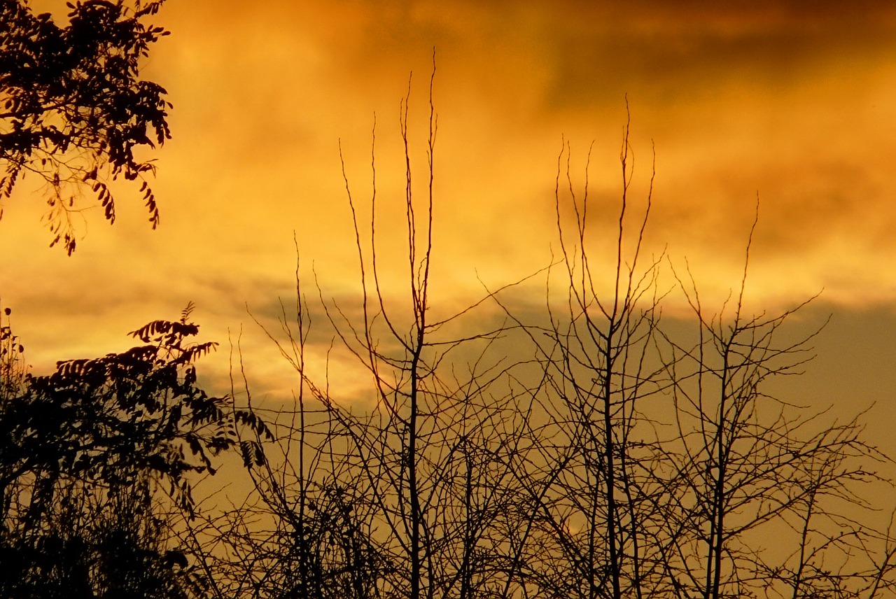 sunset clouds storm free photo