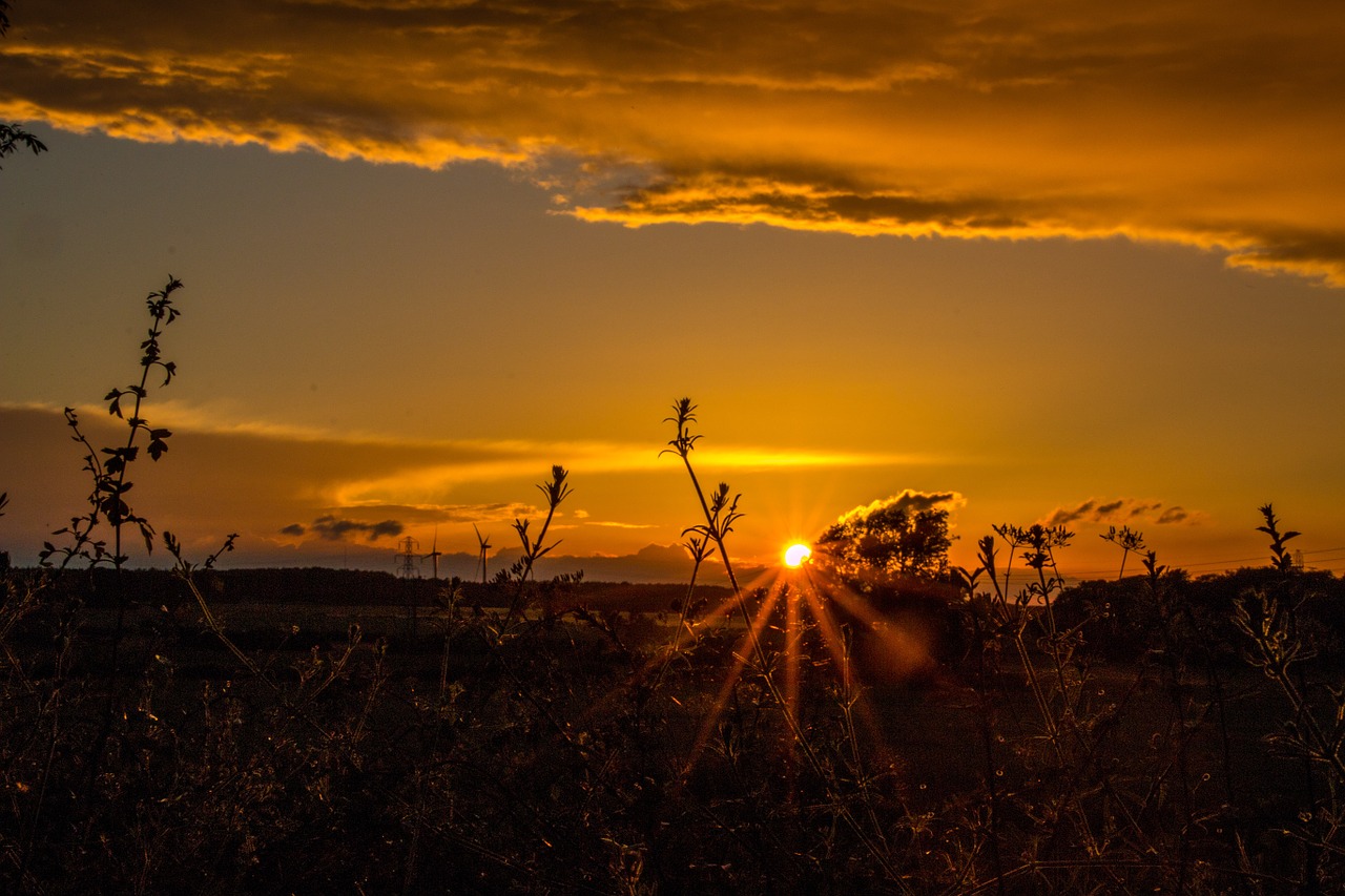 sunset sunrise sky free photo