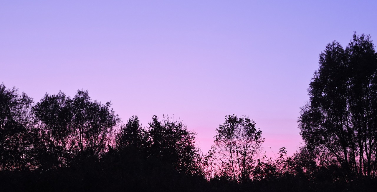 sunset sky trees free photo